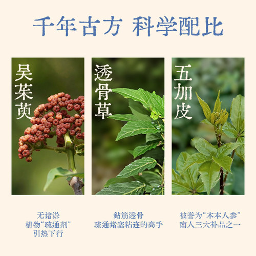 真不二吴茱萸足贴三阴交热敷贴脚踝保暖艾灸脚贴穴位自发热神器 - 图1
