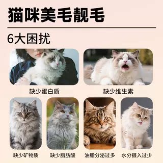 Curly Tail Hydrating Soup Can High Meat Content Chicken Krill