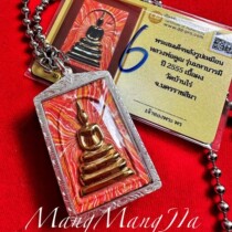 Boundless family Tailong 2555 Chongdis own silver shell pendant with card