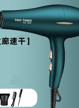 发廊理发店专用电吹风机三插头家