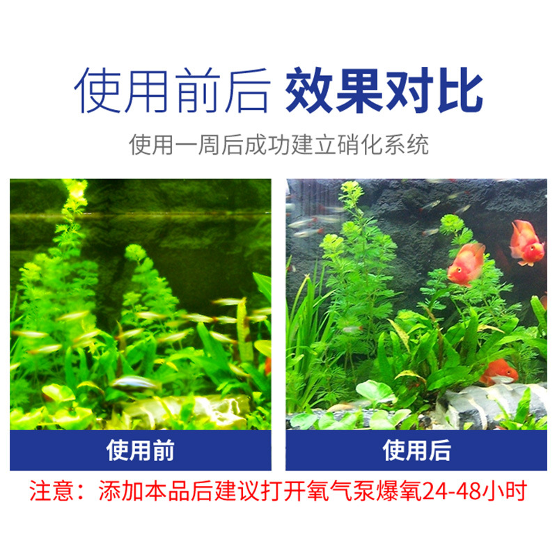 硝化细菌鱼缸水族箱浓缩硝化菌干粉胶囊稳定水质水族药剂净化水质 - 图2