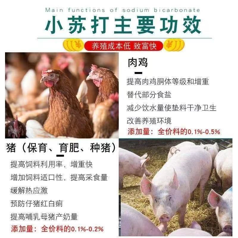 兽用小苏打粉猪牛羊鸡鸭鹅用碳酸氢钠禽畜养殖50斤饲料添加剂包邮-图0