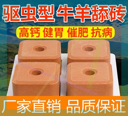 Звери облизывали кирпичи и овец, овцы соляного кирпича, специальный соленый скот и овцы, коровы с удобрениями с овцами питательных веществ