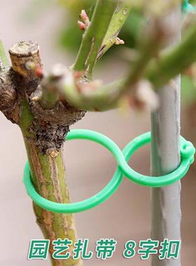 园艺8字扣 多功能塑料夹爬藤捆绑扎绳植物园林绿植花枝固定夹轧带