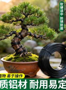 德国盆景造型专用铝丝蟠扎罗汉松铝线花卉植物定型套装黑软铝条线