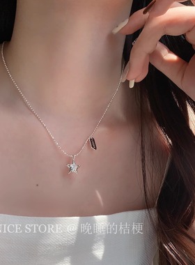 晚睡的桔梗I简约星星项链