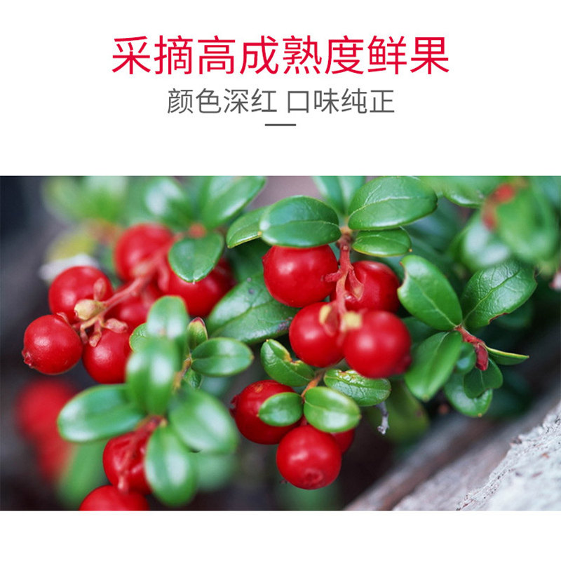 蔓越莓500g雪花酥烘培原材料水果干 倍滋倍味蔓越莓干