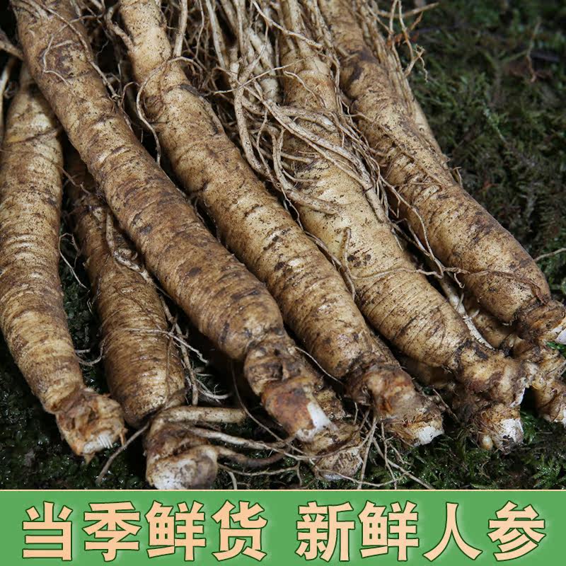宇参源吉林长白山东北泡酒鲜人参 宇参源滋补养生人参/园参及其制品