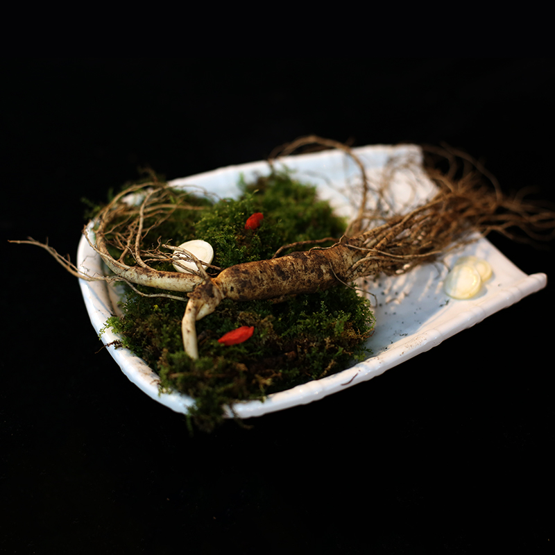 人参鲜参长白山脉参新鲜人参泡酒人参可晒干东北生晒参