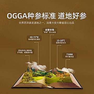 大山行加拿大进口5年足龄西洋参[800元优惠券]-寻折猪