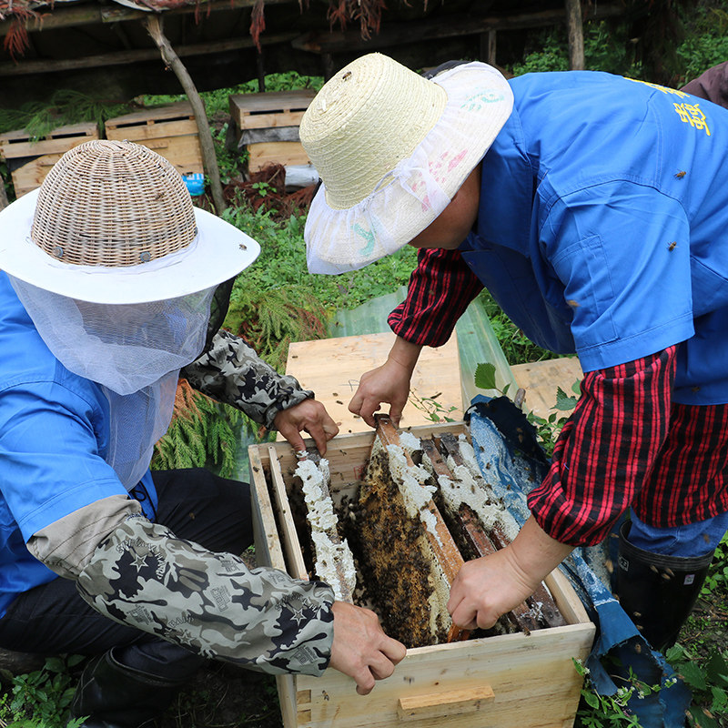  虫鑫蜂蜜