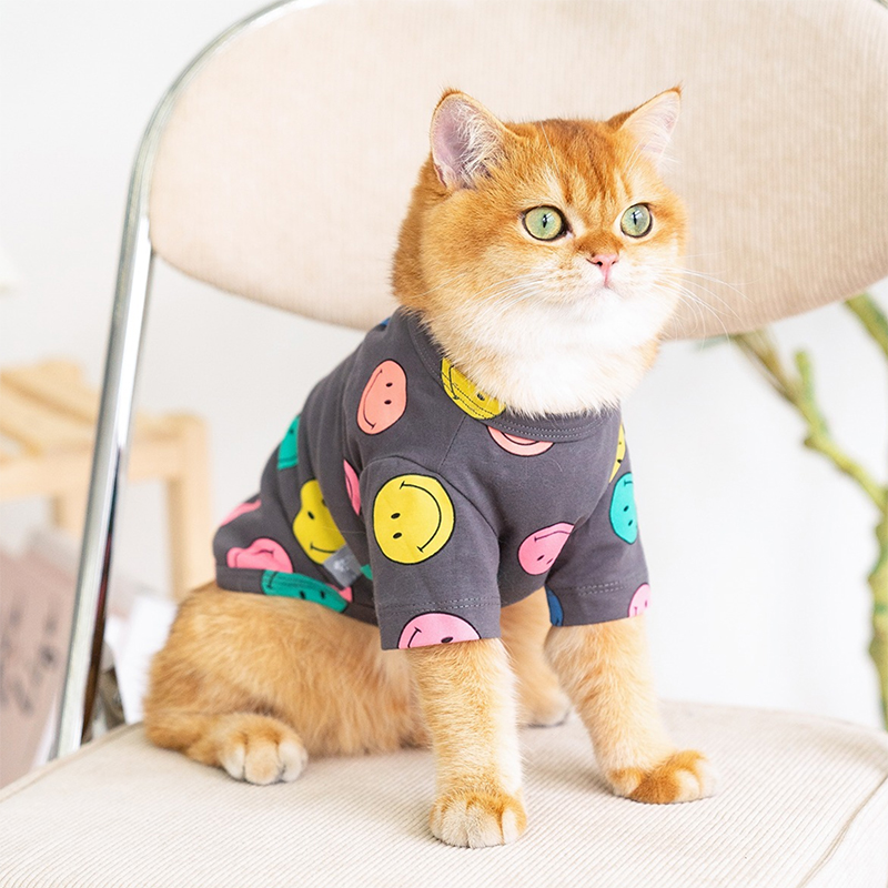 猫咪衣服夏季薄款猫衣服防掉毛可爱小猫幼猫宠物衣服蓝猫背心秋季 - 图2