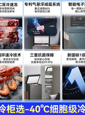 【送货入户】海尔家用无霜电冰箱