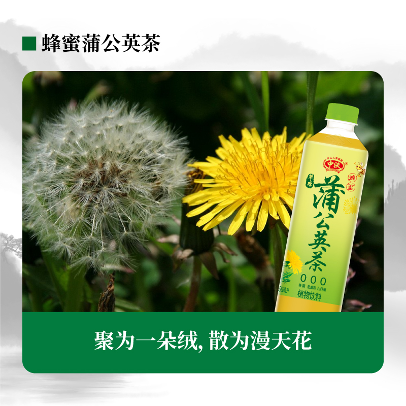 中沃草本菊花金银花蒲公英决明子茶植物饮料500ml*15整箱装 - 图3