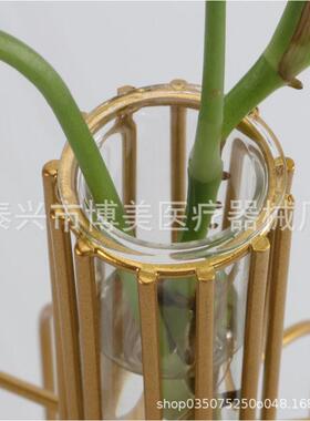 欧式铁艺翻口玻璃水培试管25*35*150mm圆底公室桌面插花装饰摆