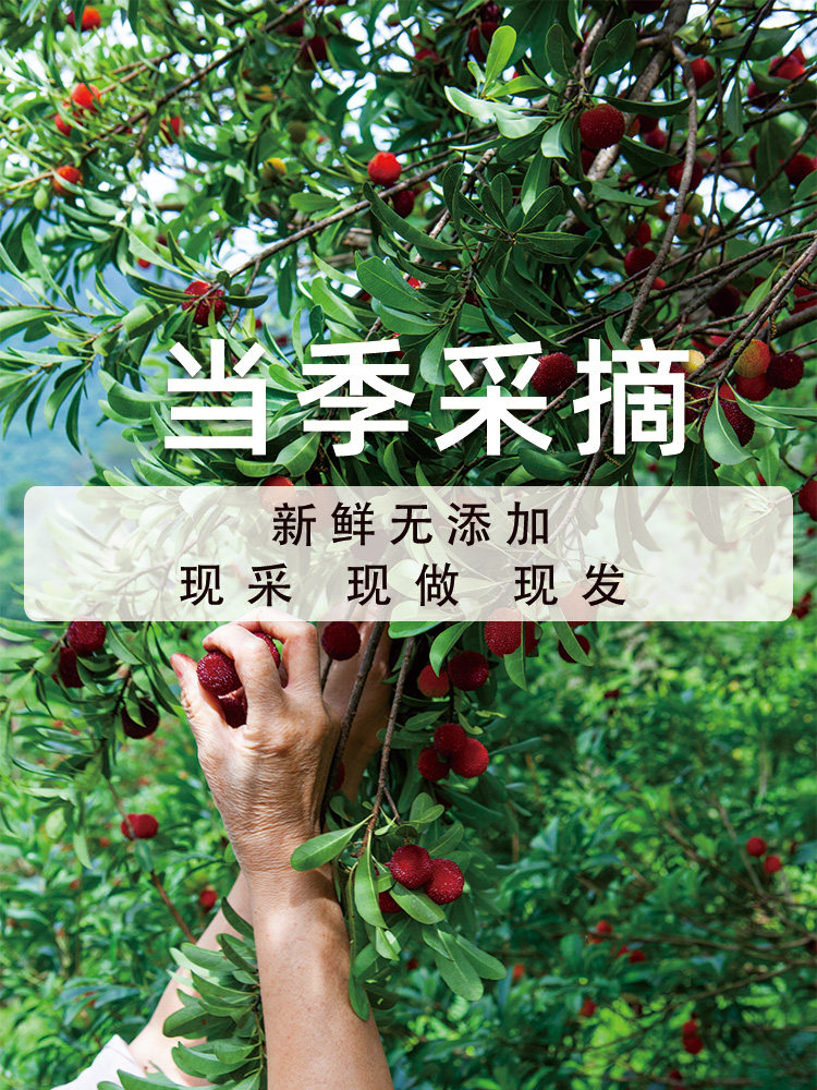 健康新鲜酸味孕妇营养小零食杨梅干 众福八运食品梅类制品