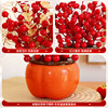 Xijiecai 2025 housewarming ornaments decoration