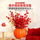Xijiecai 2025 housewarming ornaments decoration