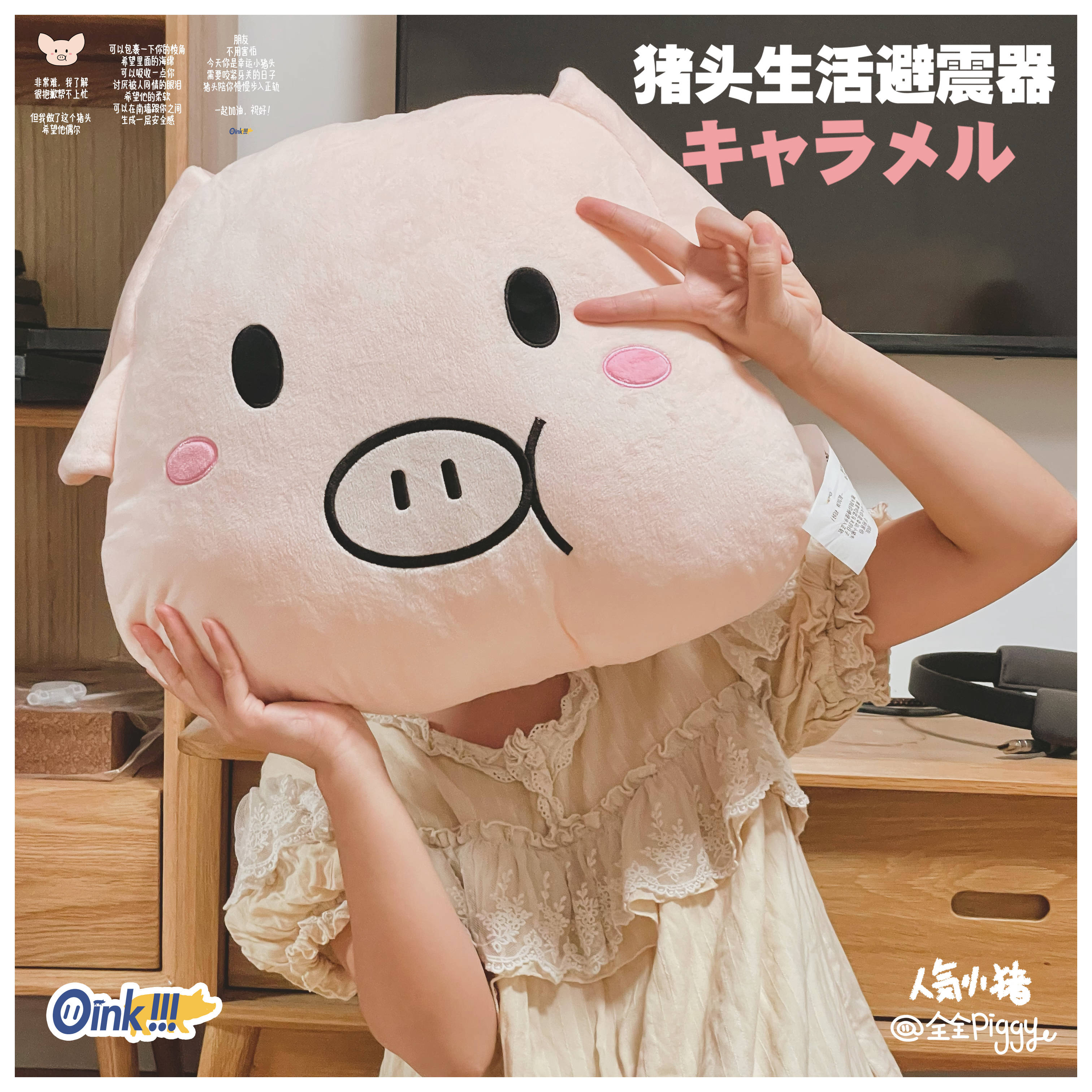 Oink!猪头生活避震器原创设计治愈小猪可爱抱枕靠垫女友礼物-图0