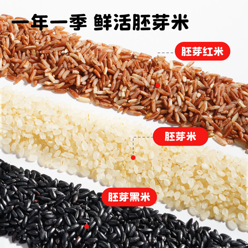 芽芽乐每日软粮粥五谷杂粮养脾胃糙米胚芽米儿童送婴儿宝宝辅食谱