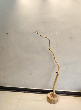 造型枯树枝原木干枝去皮树杆手工DIY灯架花艺架构服装店树枝挂架