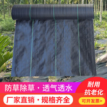 Anti-grass cloth weeding Bunun with fruit tree orchard durable cloth ground film plastic ground nail cover grass cloth pervious and anti-ageing