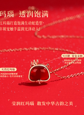 本命年礼物女925纯银红玛瑙项链