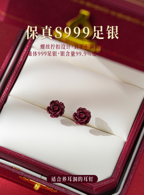 LNIEER999银女耳钉亲肤不过敏