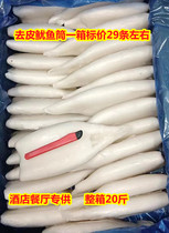 Frozen Squid Squid SQUID RING BARBECUE SQUID IRON PLATE SEAFOOD AQUA NO HEAD SQUID HAIR WEIGHS 20 KILOS