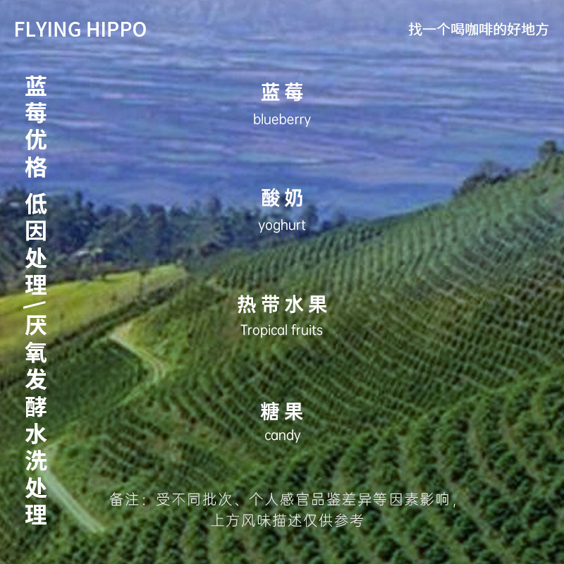 FLYINGHIPPO哥伦比亚天堂庄园粉草莓/樱花/蓝莓/桂花手冲咖啡豆-图2