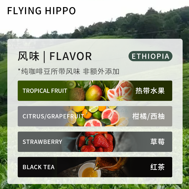 FLYINGHIPPO耶加雪菲G1级精致日晒新鲜烘焙精品单品手冲咖啡豆-图0