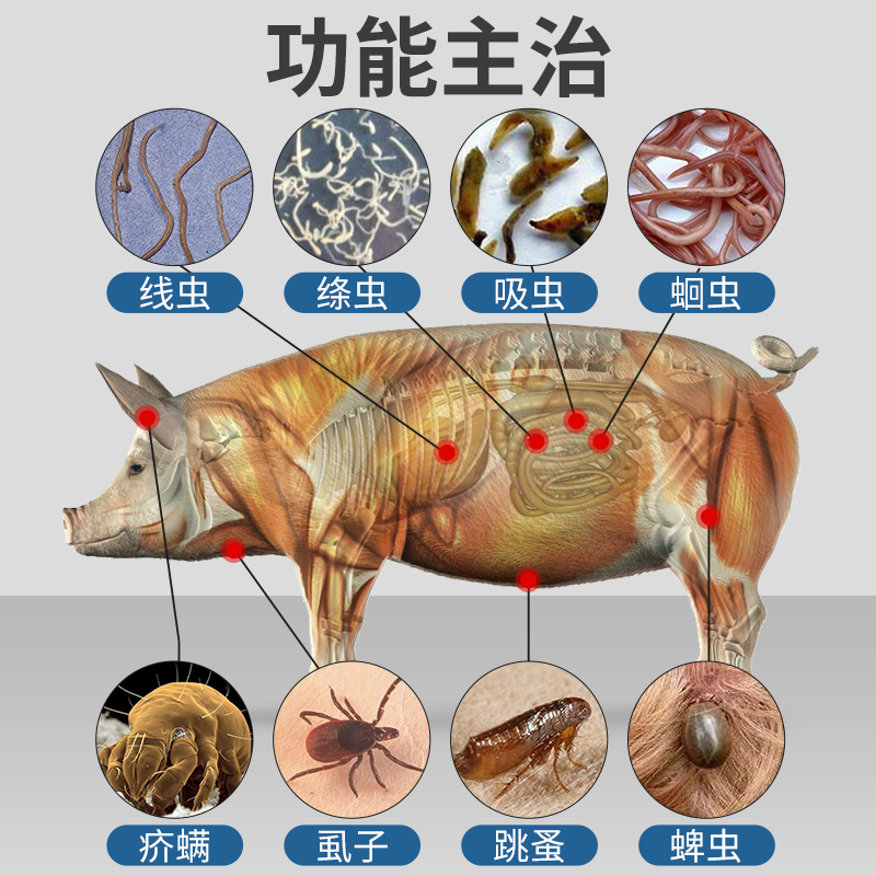 兽用阿苯达唑伊维菌素粉猪药牛羊驱虫全驱净鸡鸭鹅禽体内外打虫药-图1