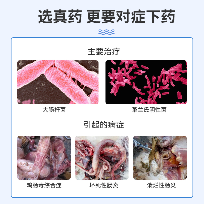 牧品32.5%硫酸新霉素兽用可溶性粉拉稀大肠杆菌止痢猪鸡鸭药正品 - 图1