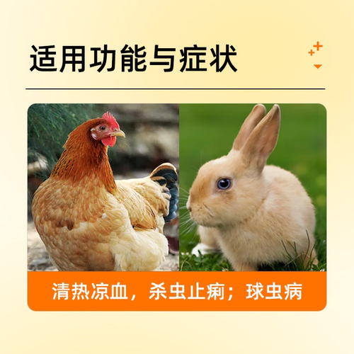 驱球止痢合剂兽用鸡小肠球虫药禽用血便肠毒综合症拉稀腹泻兽药 - 图0