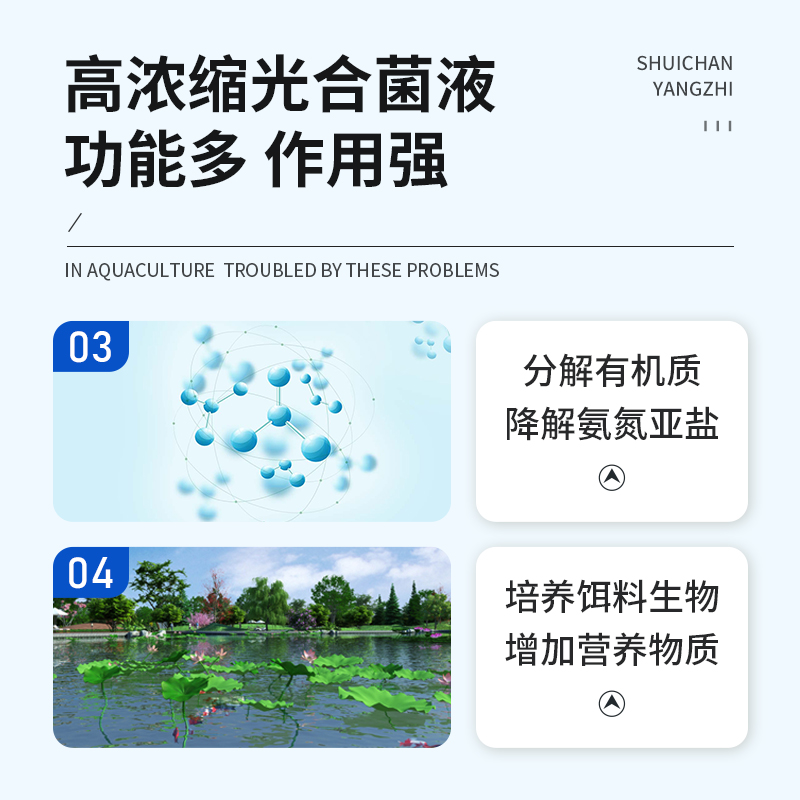 光合细菌水产养殖菌种鱼虾蟹鳖牛蛙小龙虾池塘用净水肥水培藻菌剂 - 图3