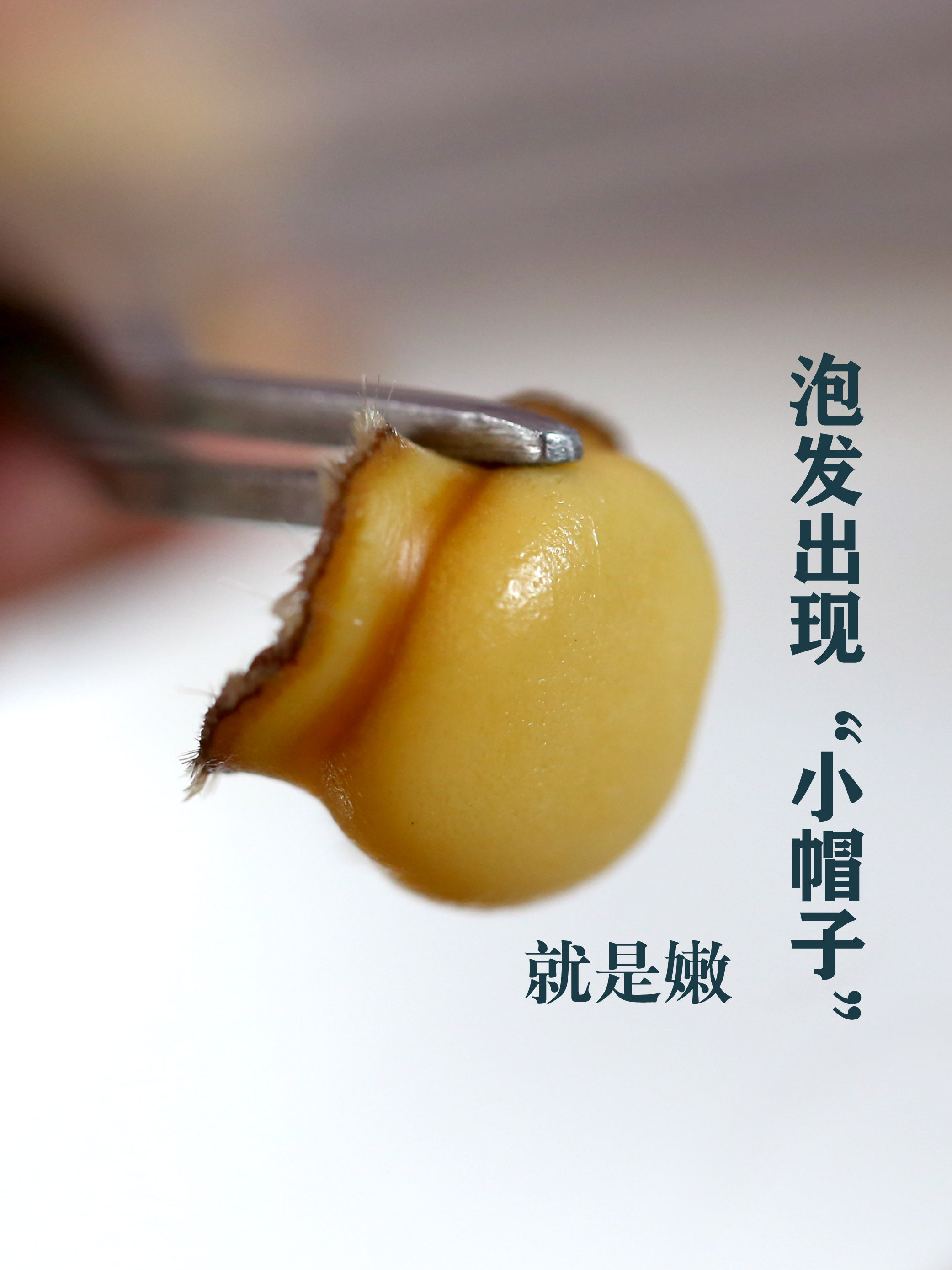 吉林梅花鹿全腊片鹿茸正品正宗干片 知鹿仁鹿茸片