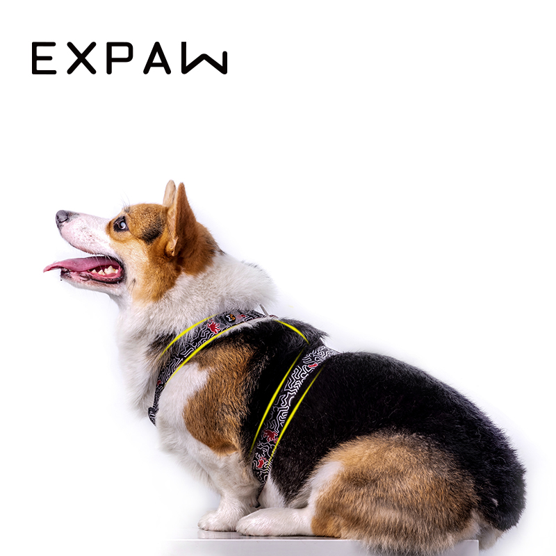 XPAWS Tap狗狗胸背工字型h型宠物牵引绳背心式可调节泰迪小型犬 - 图1