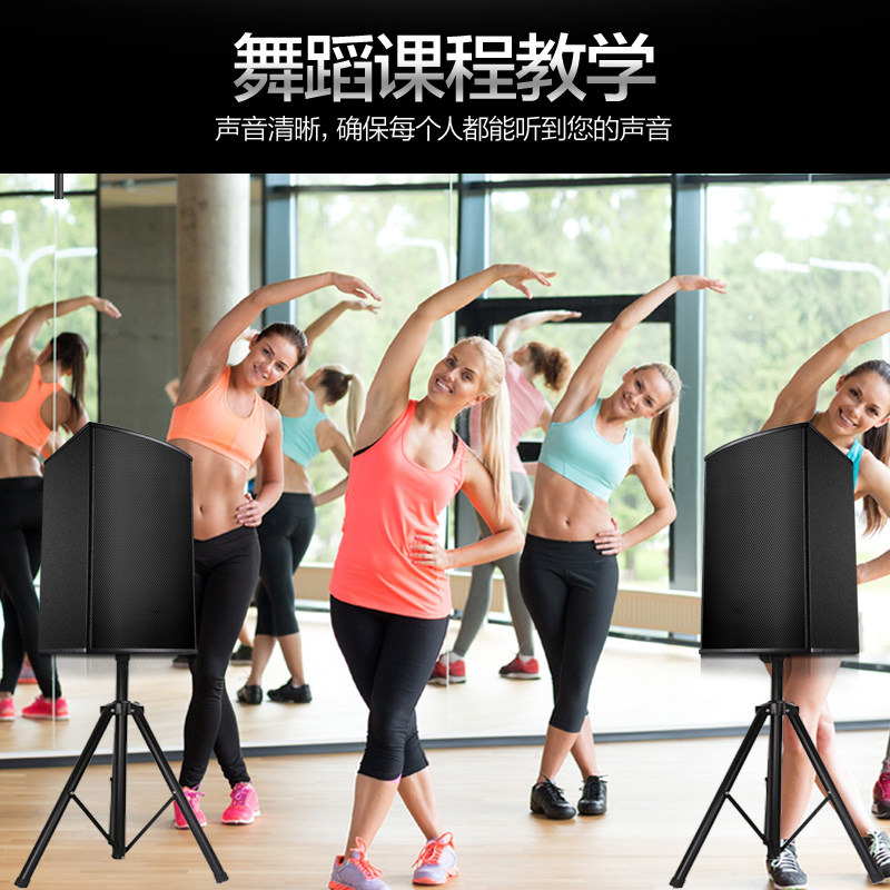 圣堡乐t10寸8会议室套装专业壁挂 圣堡乐KTV/卡拉OK音箱