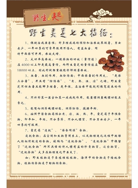 野生灵芝回大功能海报展板野生灵芝八大作用灵芝中国之精粹养生华