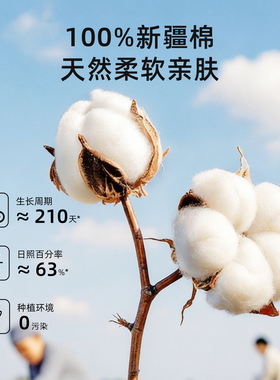 棉柔世家一次性干湿两用洗脸巾