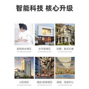 熊猫自吸泵喷射泵家用220V水井抽水泵机上海自动增压泵小型吸水泵