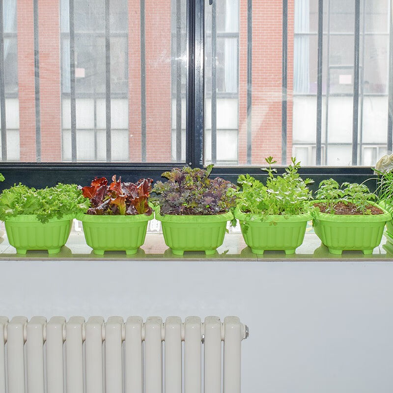 懒人种菜盆箱花盆自动吸水长方形特大号盆蔬菜种植箱经典蔬菜