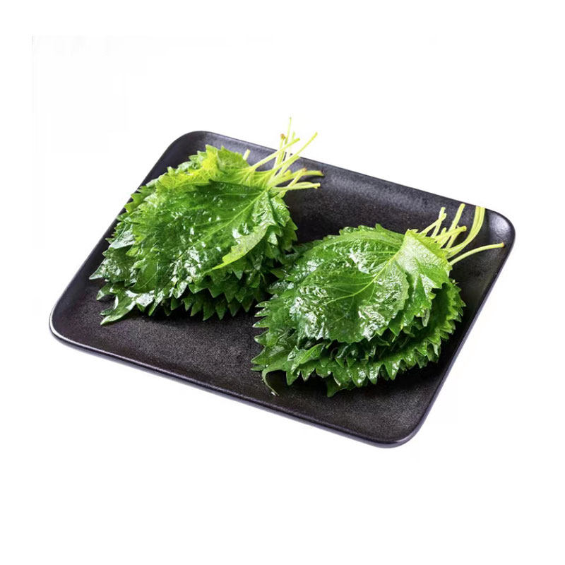 【千牛优福】新鲜紫苏叶40片/盒 小叶绿苏子叶日料装饰包烤肉食材,淘宝优惠券,粉丝福利购,淘宝优惠卷