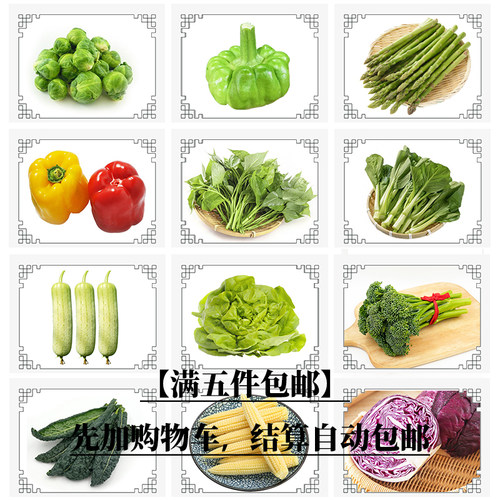 新鲜蔬菜自选组合精品时蔬农家自种基地直发现摘任选5件顺丰包邮 - 图0