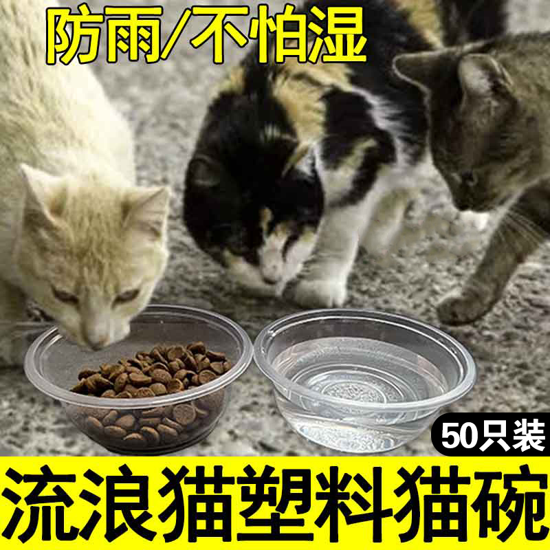 流浪猫喂食碗户外防雨防水一次性防蚂蚁喂猫碗猫食盆狗狗喝水吃饭 - 图0