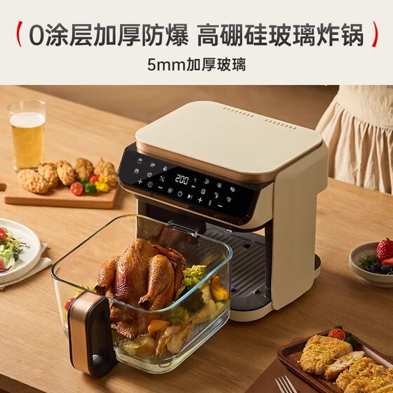 Japanese Apixintl air fryer