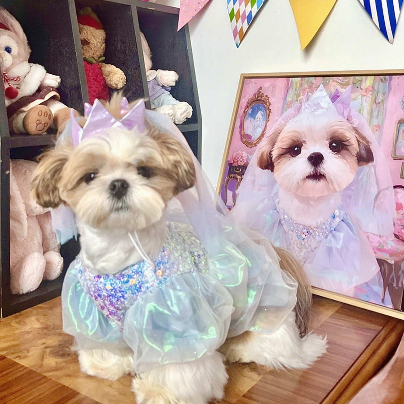 宠物照片定制数字油画猫咪狗狗卧室客厅宠物装饰画手工画像肖像,淘宝优惠券,粉丝福利购,淘宝优惠卷