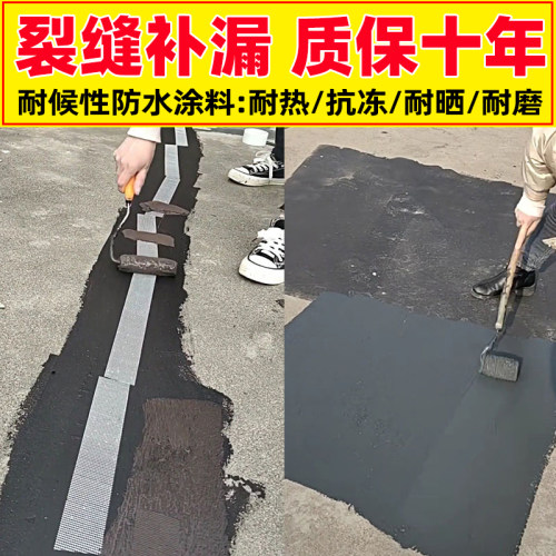 河南龙濮H3新型防水材料h3s纳米材料防水胶涂料屋顶裂缝补漏外墙 - 图1