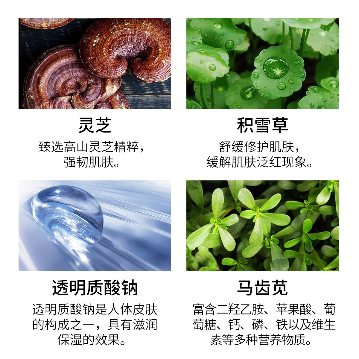 dkdk灵芝精华水舒缓维稳补水爽肤水 dkdk美妆店化妆水/爽肤水