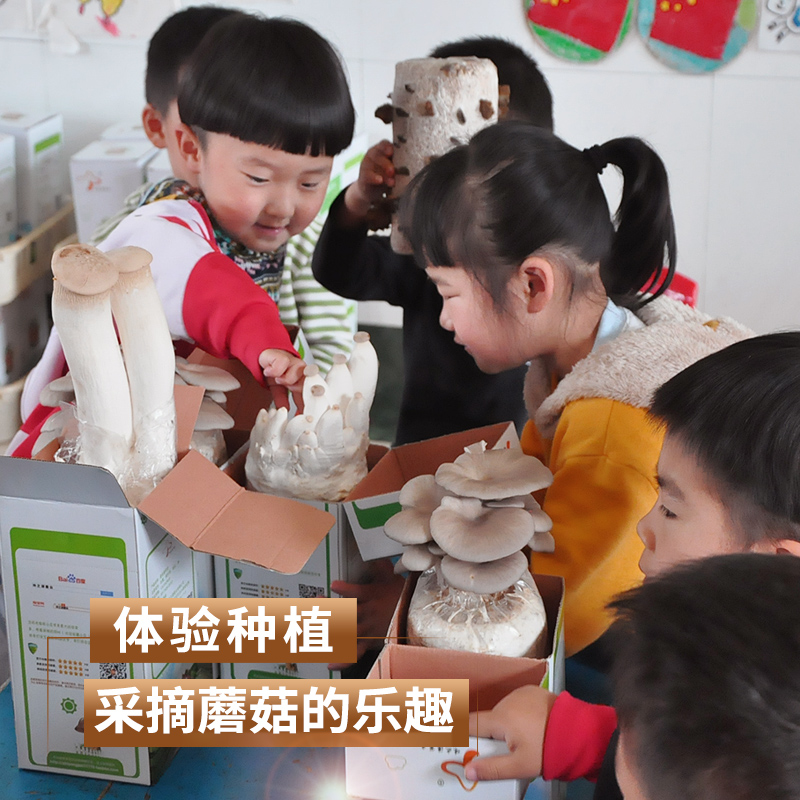平菇蘑菇菌包菌棒种植食用种植香金针种植菌包种植袋阳台网红包邮,淘宝优惠券,粉丝福利购,淘宝优惠卷